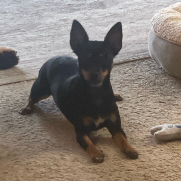 Meet your Posher, Jennifer - Picture 13 of 15